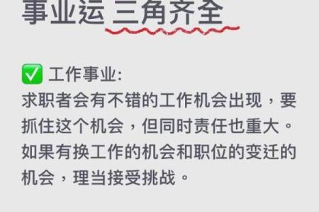 本命年属虎如何提高工作效率