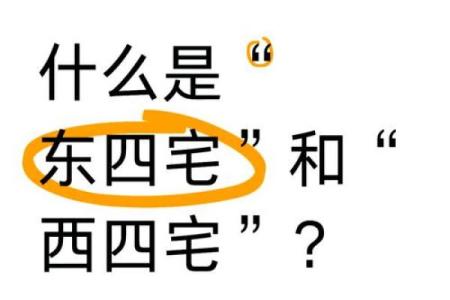 打造和谐空间的幸福家居风水图片摆放指南