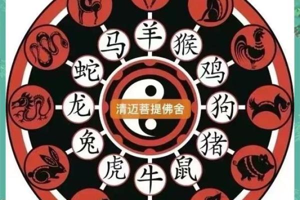 生肖运势如何提升,化解不利因素 生肖运势如何提升,化解不利因素