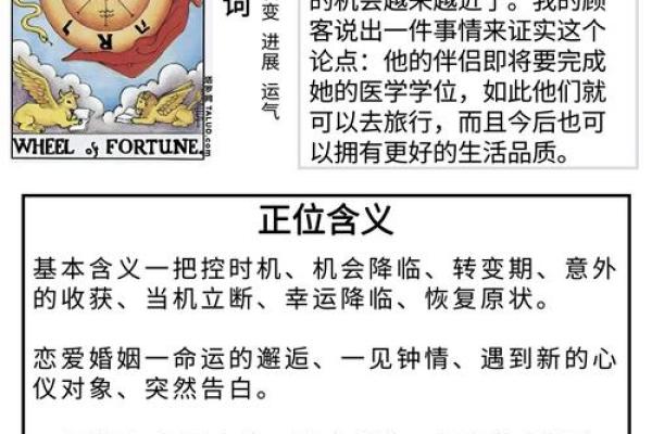 出生命运的秘密揭秘 出生命运的秘密揭秘