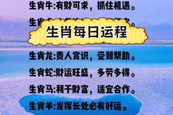 十二生肖运势全解析:事业、健康、爱情一网打尽 十二生肖运势全解析:事业、健康、爱情一网打尽
