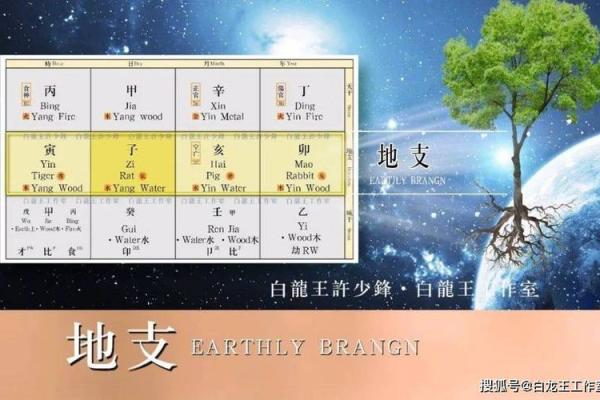八字算卦的神奇力量:解锁你的人生密码 八字算卦的神奇力量:解锁你的人生密码