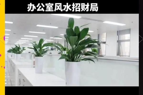 办公室风水布局的基本原则与实用技巧 办公室风水布局的基本原则与实用技巧