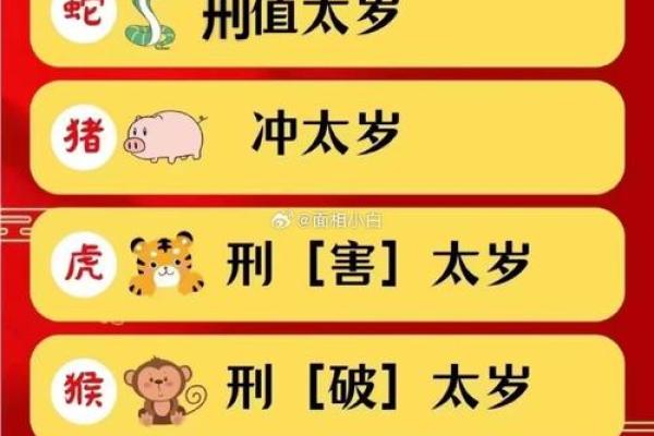 猪年运势如何?运程大揭秘 猪年运势如何?运程大揭秘