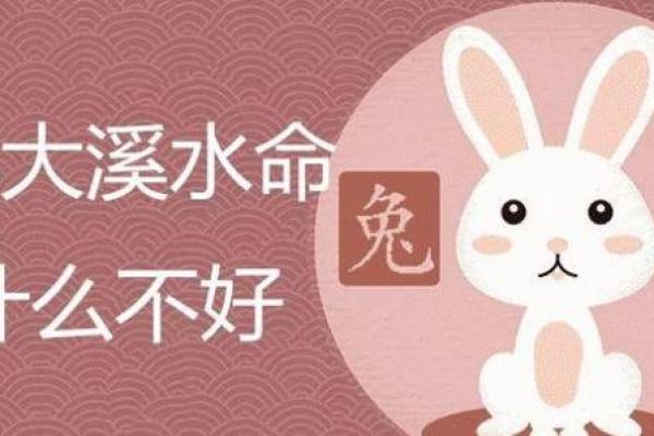 辰时出生的猪是什么命 属水命吗 解读辰时猪命运特征 辰时出生的猪是什么命 属水命吗 解读辰时猪命运特征