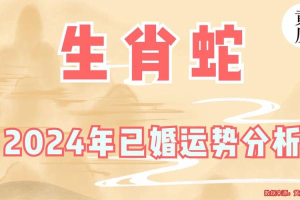 详细解析属蛇人每月运势变化 详细解析属蛇人每月运势变化