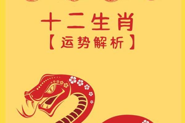 详细解析属蛇人每月运势变化 详细解析属蛇人每月运势变化