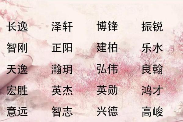 晟：象征光辉与未来的名字