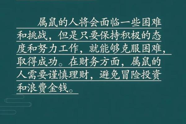 属鼠人的本命年如何保持生活节奏 属鼠人的本命年如何保持生活节奏