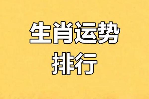 运势如何?属相运程逐一分析 运势如何?属相运程逐一分析