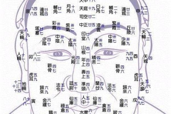 八字红艳:揭开这个古老面相的神秘面纱 八字红艳:揭开这个古老面相的神秘面纱