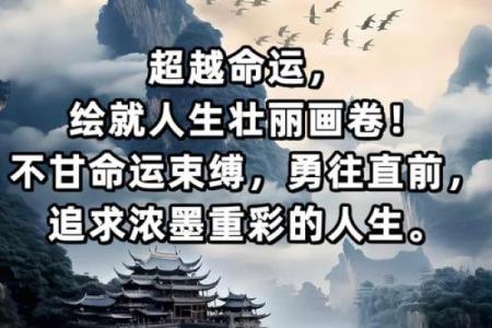 追求最好的命运需要具备哪些品质