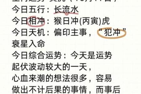 本命年虎男的命运起伏如何应对