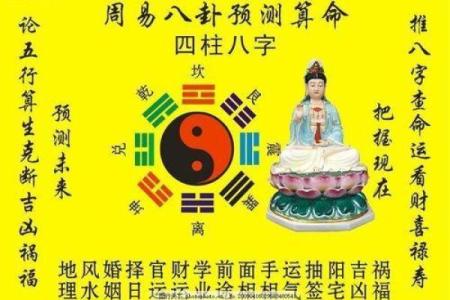 想知道你的名字命运如何？免费测八字解析来啦！