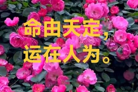 出生的命运特点与人生方向