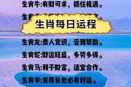 十二生肖运势全解析：事业、健康、爱情一网打尽