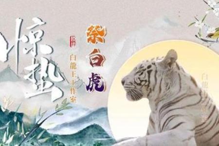 命带月煞的影响力：如何化解与调理