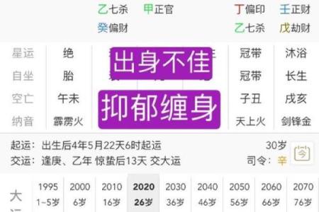 辛卯八字揭秘：如何利用命理找到人生最佳方向？