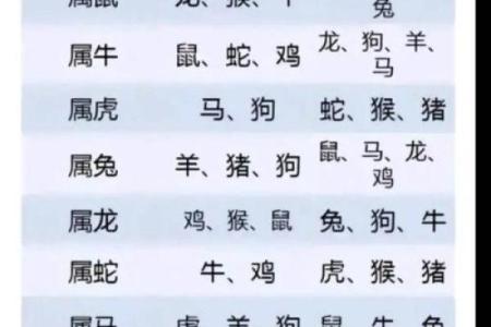 出生的人属什么命与命运分析