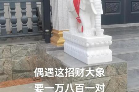 打造财运风水空间 招财大象的神奇力量