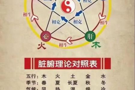 餐饮行业在五行中代表什么？揭秘五行与餐饮的关系