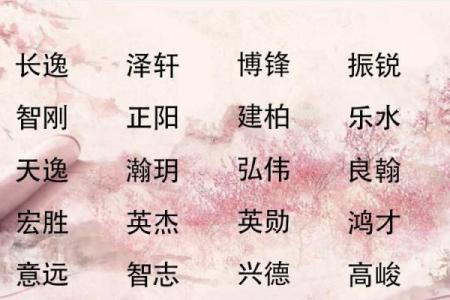晟：象征光辉与未来的名字