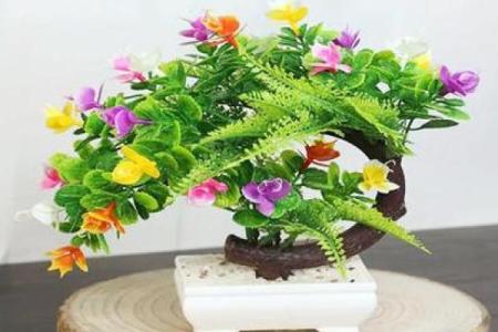 家居风水如何看待假花的摆放与选择