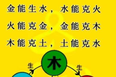 电脑算命与生辰八字的惊人结合，你是否也能掌握未来的命运？