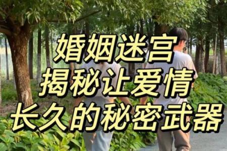 甲子姻缘解密，如何让爱情与婚姻更加美满？