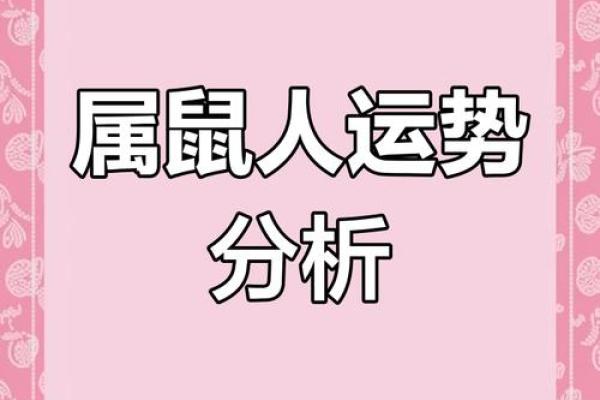 鼠年运程如何影响你的生活?分析属鼠人的运势详情 鼠年运程如何影响你的生活?分析属鼠人的运势详情
