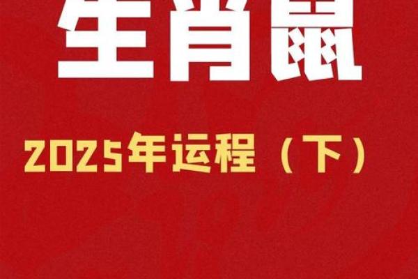 鼠年运程如何影响你的生活?分析属鼠人的运势详情 鼠年运程如何影响你的生活?分析属鼠人的运势详情