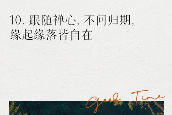 禅意人生：从名字中感悟内心的宁静与智慧