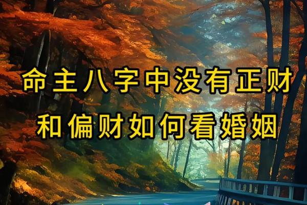 出生的你,生辰八字为你规划的人生道路 出生的你,生辰八字为你规划的人生道路