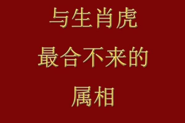 属什么生肖的详细解析与解答 属什么生肖的详细解析与解答