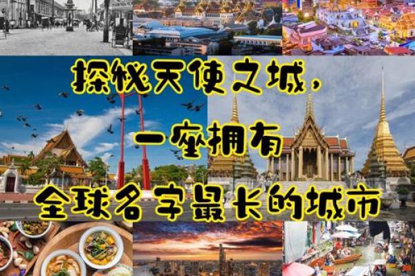 L名字在全球范围的流行与受欢迎程度