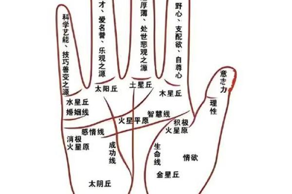 财官印命与个人命运走向的关系 财官印命与个人命运走向的关系