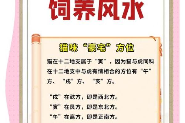 办公室风水指南:招财猫与鱼缸的完美搭配 办公室风水指南:招财猫与鱼缸的完美搭配