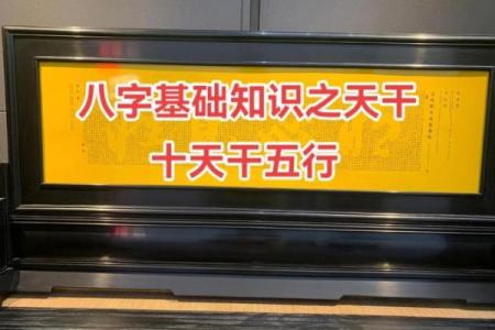 材字五行属什么？揭秘材字的五行属性与命理解析