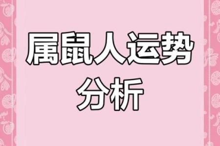 鼠年运程如何影响你的生活？分析属鼠人的运势详情
