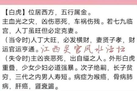 白虎招财风水布局指南助你旺财开运
