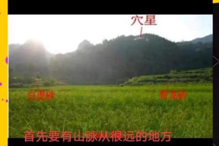 从风水角度解析命名对运势的深远影响