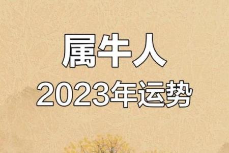 生肖牛运势全面解读，每月运程逐月预测