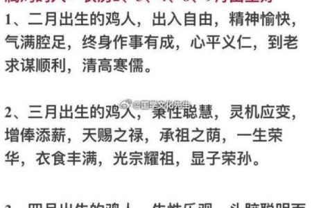 属什么生肖的详细解析与解答