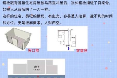 打造和谐家居环境的风水布局
