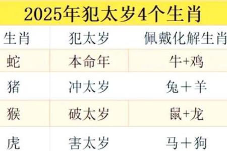 本命和年命的区别与关系解析