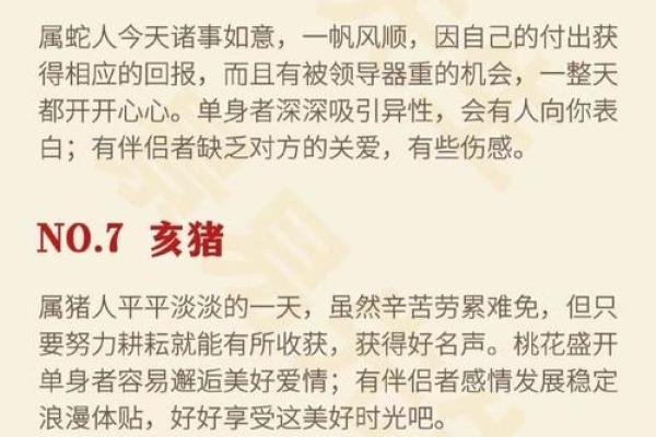 出生的人属什么命,命运解析与未来运势展望 出生的人属什么命,命运解析与未来运势展望