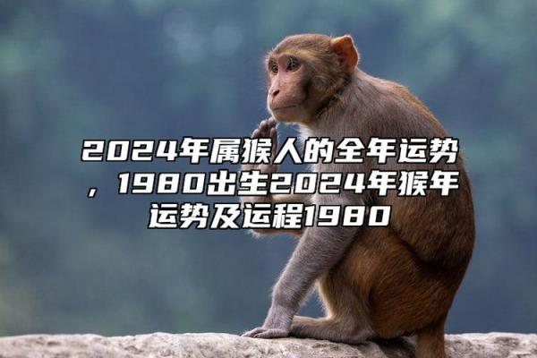 出生的人属什么命,命运解析与未来运势展望 出生的人属什么命,命运解析与未来运势展望