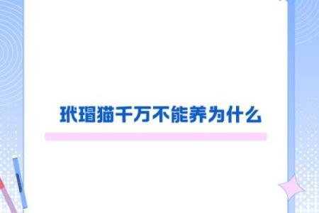 玳五行属解析：如何根据五行属性调整你的生活