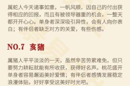 出生的人属什么命，命运解析与未来运势展望