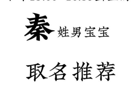 为秦姓鸡宝宝起名时需要注意的五个关键要素
